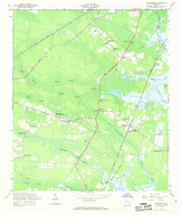 preview thumbnail of historical topo map of Liberty County, GA in 1958