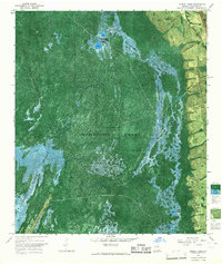 Download a high-resolution, GPS-compatible USGS topo map for Double Lakes, GA (1967 edition)