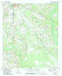 1971 Map of Atkinson County, GA, 1987 Print