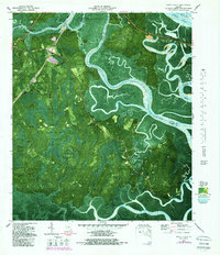 Download a high-resolution, GPS-compatible USGS topo map for Dover Bluff, GA (1988 edition)
