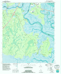 preview thumbnail of historical topo map of Camden County, GA in 1993