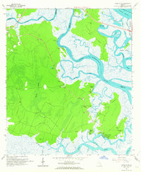preview thumbnail of historical topo map of Camden County, GA in 1961