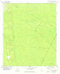 Download a high-resolution, GPS-compatible USGS topo map for East Of Ludowici, GA (1978 edition)