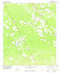 Download a high-resolution, GPS-compatible USGS topo map for Egypt, GA (1978 edition)