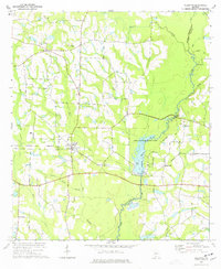 Download a high-resolution, GPS-compatible USGS topo map for Ellenton, GA (1977 edition)