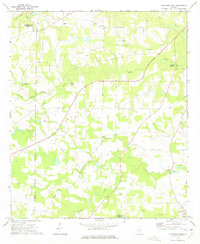Download a high-resolution, GPS-compatible USGS topo map for Finleyson West, GA (1975 edition)