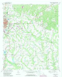 1972 Map of Ben Hill County, GA, 1988 Print