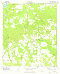 Download a high-resolution, GPS-compatible USGS topo map for Fowlstown, GA (1976 edition)