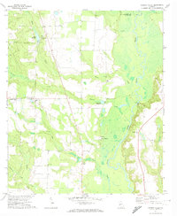 preview thumbnail of historical topo map of Macon County, GA in 1971