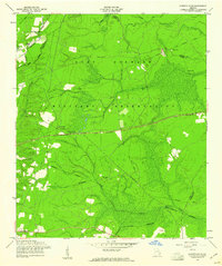 Download a high-resolution, GPS-compatible USGS topo map for Glennville NE, GA (1961 edition)