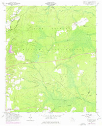 Download a high-resolution, GPS-compatible USGS topo map for Glennville NE, GA (1976 edition)