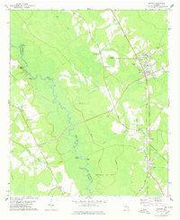 Download a high-resolution, GPS-compatible USGS topo map for Guyton, GA (1978 edition)