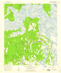 Download a high-resolution, GPS-compatible USGS topo map for Harrietts Bluff, GA (1959 edition)