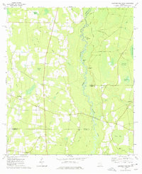 preview thumbnail of historical topo map of Berrien County, GA in 1977