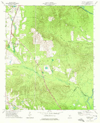 preview thumbnail of historical topo map of Houston County, GA in 1973