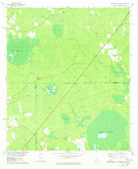 Download a high-resolution, GPS-compatible USGS topo map for Henderson Still, GA (1978 edition)