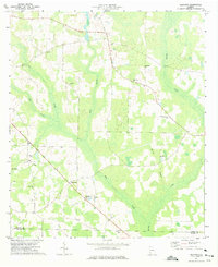 preview thumbnail of historical topo map of Early County, GA in 1973