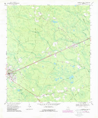 Download a high-resolution, GPS-compatible USGS topo map for Homerville East, GA (1988 edition)