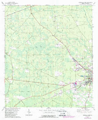 Download a high-resolution, GPS-compatible USGS topo map for Homerville West, GA (1987 edition)