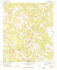 Download a high-resolution, GPS-compatible USGS topo map for Ideal North, GA (1974 edition)