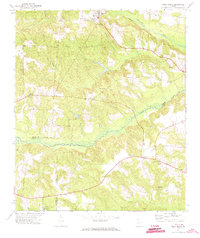 Download a high-resolution, GPS-compatible USGS topo map for Ideal South, GA (1973 edition)
