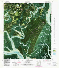 Download a high-resolution, GPS-compatible USGS topo map for Isle of Hope, GA (1988 edition)