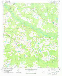 preview thumbnail of historical topo map of Screven County, GA in 1978