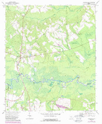 1972 Map of Ben Hill County, GA, 1988 Print