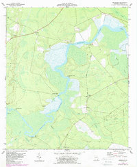 preview thumbnail of historical topo map of Camden County, GA in 1978