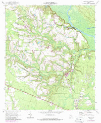 preview thumbnail of historical topo map of Wayne County, GA in 1970
