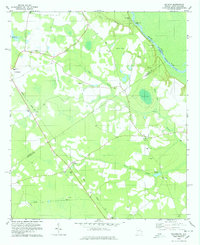 Download a high-resolution, GPS-compatible USGS topo map for Kildare, GA (1978 edition)