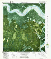 Download a high-resolution, GPS-compatible USGS topo map for Kingsland NE, GA (1980 edition)
