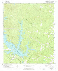 Download a high-resolution, GPS-compatible USGS topo map for Lake%20Sinclair%20East, GA (1975 edition)