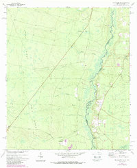 preview thumbnail of historical topo map of Charlton County, GA in 1972