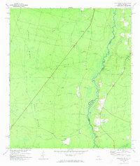Download a high-resolution, GPS-compatible USGS topo map for Macclenny NE, GA (1973 edition)