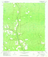 preview thumbnail of historical topo map of Charlton County, GA in 1972