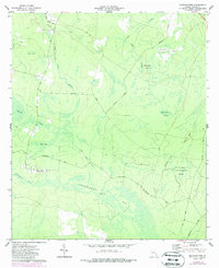preview thumbnail of historical topo map of Wayne County, GA in 1977