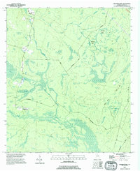 preview thumbnail of historical topo map of Wayne County, GA in 1988