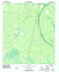 preview thumbnail of historical topo map of Wayne County, GA in 1993