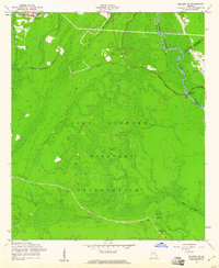 Download a high-resolution, GPS-compatible USGS topo map for Meldrim SW, GA (1961 edition)