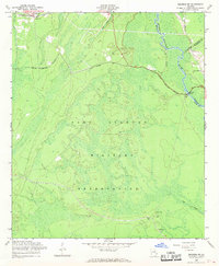Download a high-resolution, GPS-compatible USGS topo map for Meldrim SW, GA (1969 edition)
