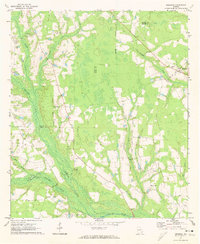 Download a high-resolution, GPS-compatible USGS topo map for Mershon, GA (1974 edition)