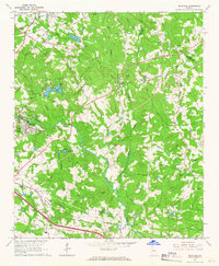 Download a high-resolution, GPS-compatible USGS topo map for Milstead, GA (1966 edition)