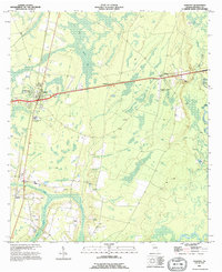 preview thumbnail of historical topo map of Nahunta, GA in 1993