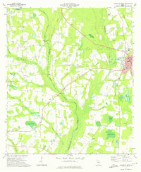 preview thumbnail of historical topo map of Berrien County, GA in 1973