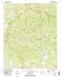 Download a high-resolution, GPS-compatible USGS topo map for Neels Gap, GA (1991 edition)