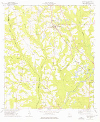 Download a high-resolution, GPS-compatible USGS topo map for Ochlocknee, GA (1976 edition)