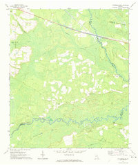 Download a high-resolution, GPS-compatible USGS topo map for Patterson SE, GA (1974 edition)