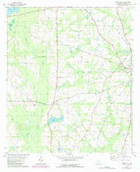 preview thumbnail of historical topo map of Brooks County, GA in 1975