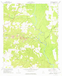 Download a high-resolution, GPS-compatible USGS topo map for Pennington, GA (1975 edition)